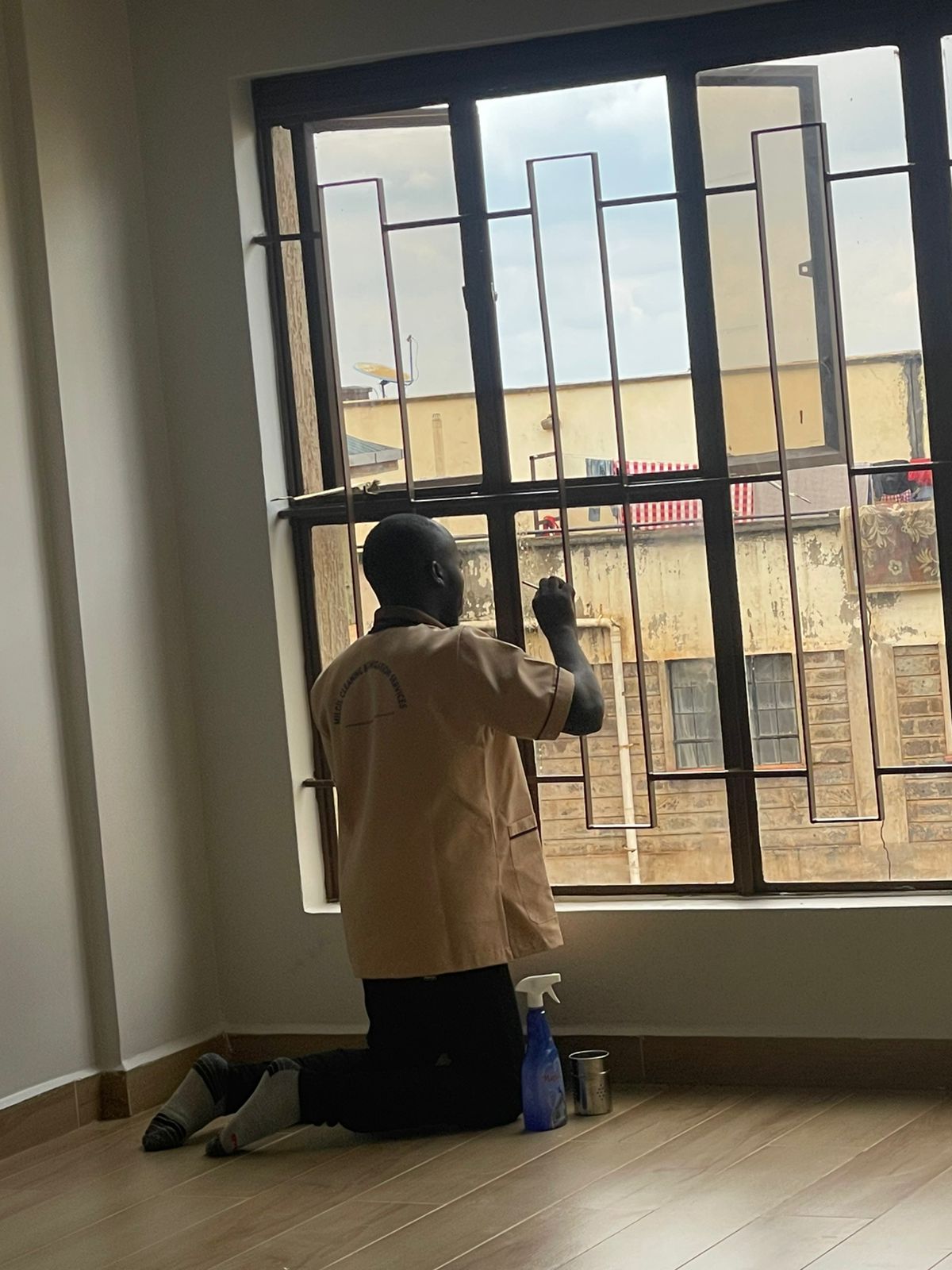 Window Cleaning Service